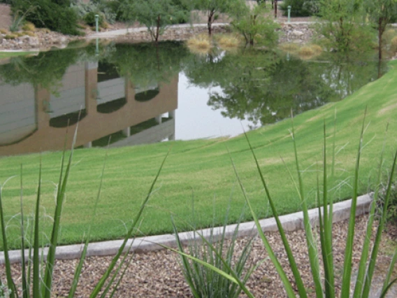 UA detention basin