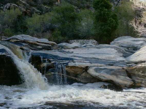 Michael Nelson - Little Colorado Canyon, Springerville