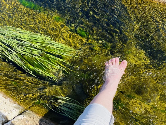 Kirsten Ball - Cooling off in the ditch 2021 Goodyear