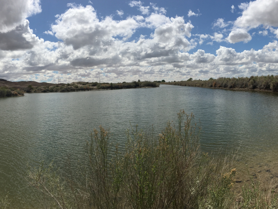 Rosa Bevington - cloud lake 2020 yuma