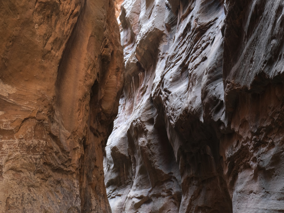 Jenell Biggs - The Narrows 2020 Zion National Park Utah