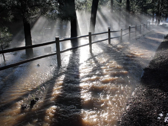 Annette Coffey - 2013 August Flood in Pinetop