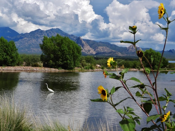 Steven Frank - Mother Nature is a source of life 2021 Canoa-Ranch Pima County Park near Green Valley AZ