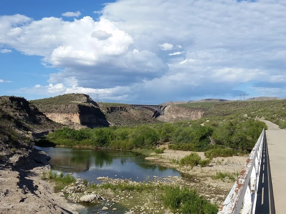 Mary Grier - Oasis On the Way to Kingman 2015 Burro Creek