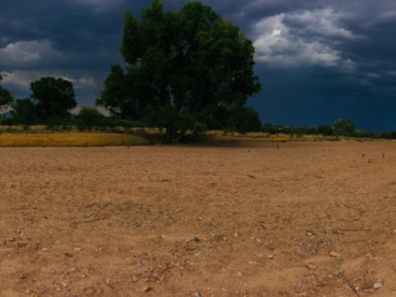 Olga Hart - Monsoon Along The Santa Cruz River 2018 Rio Rico