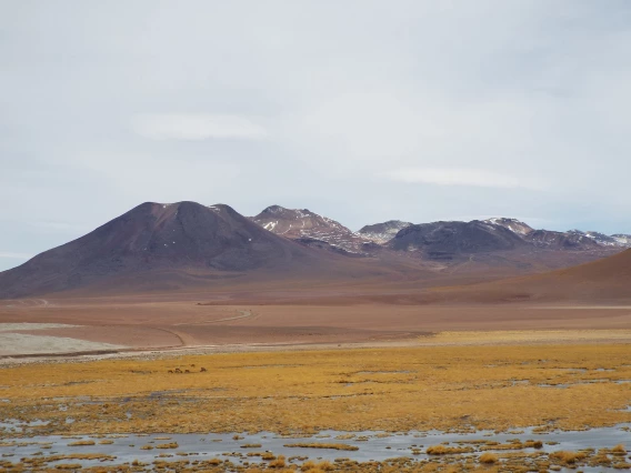 Paulina Jenney - Vicunas 2016 Chile