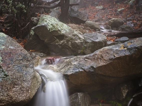 James Lindstrom - Misty Morning Pinal Mountains 2019 GlobeAZ