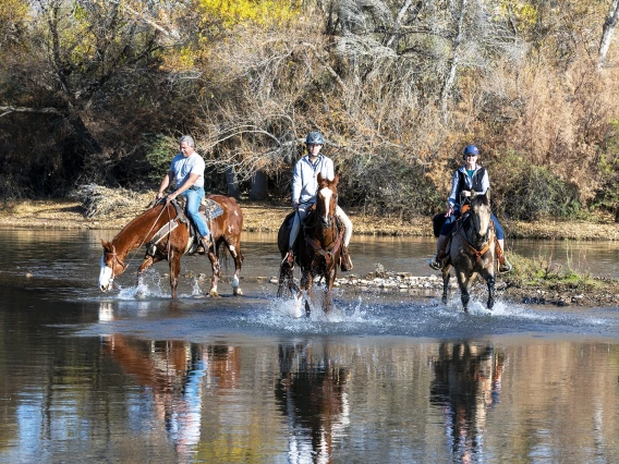 Malcolm Patten - Verde River Horses 2021 Rio Verde