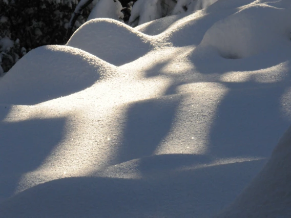 William Radke - Fresh Snowfall - Prescott Arizona