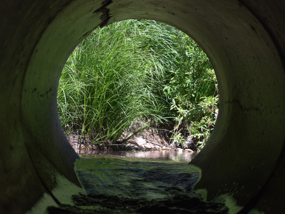 Cindy Rettinger - Pipe East Verde River