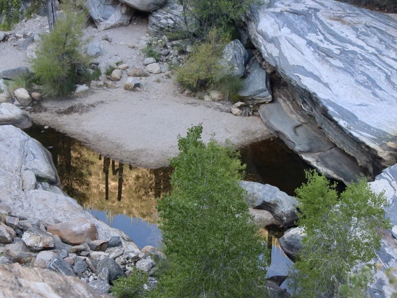 Roger Wolf Sabino Creek