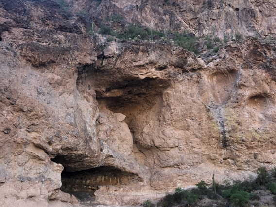 Ashley Salomon - Canyons at Canyon Lake, AZ