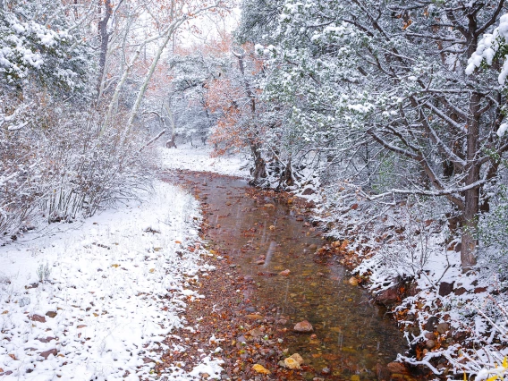 Sandy Shiloh - Cave Creek Snow 2019 Portal