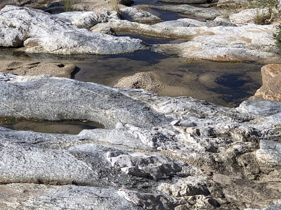 Amanda Webb - Reflecting Pools Rincon Mountains 2021