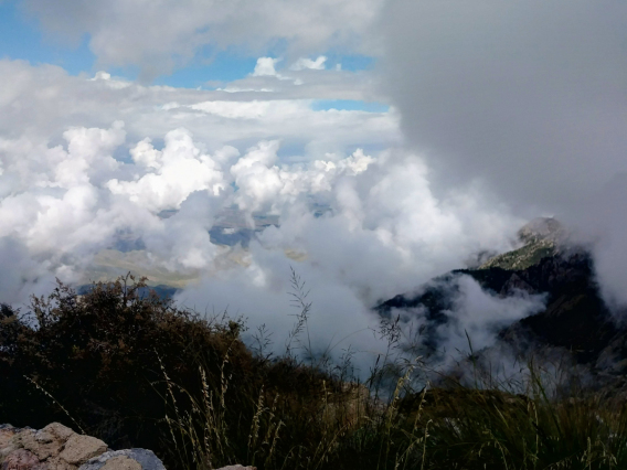 Tamara Holt - Head in the clouds - Madera Canyon 2019