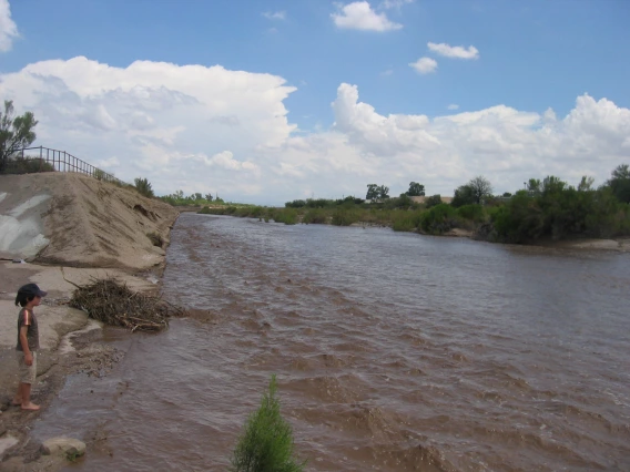 Steve Leavitt - Pantano monsoon