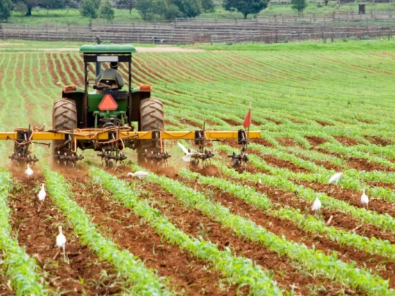 field with tractor