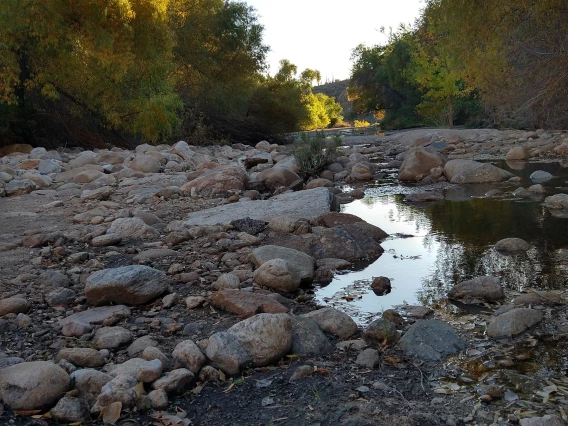 Nicole Salazar photo of Sabino Canyon during the fall season