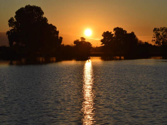 Amy Fee photo showing silverbell lake in tucson arizona at sunset. The sky has an orange cast and the trees surring the lake form a silhouette. 