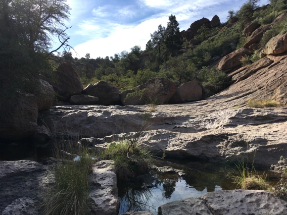 Lonnie Frost photo of a reservoir in superior arizona