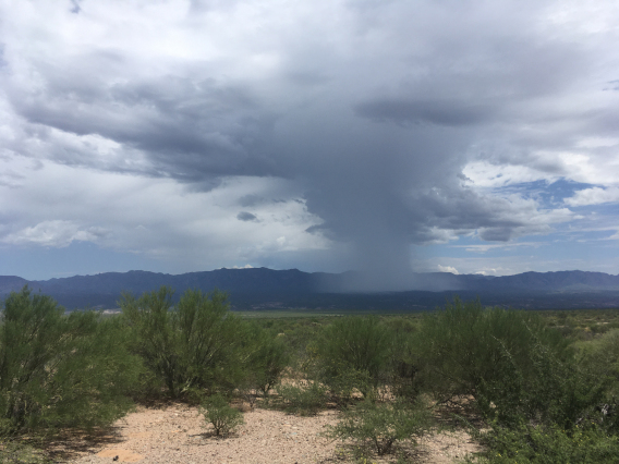 Lonnie Frost photo of storm clouds over the desert in san manuel arizona