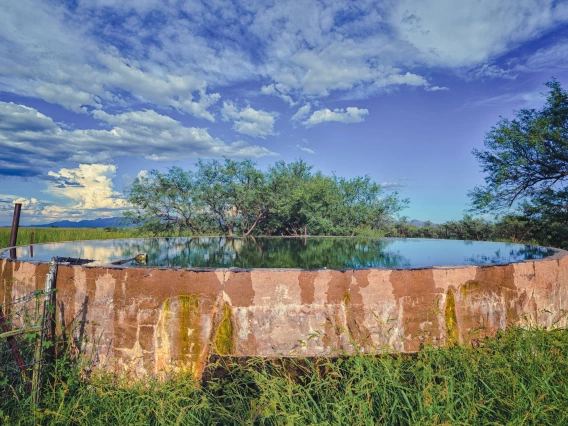 Eric Jewett photo of a cattle watering tank with a nice reflection