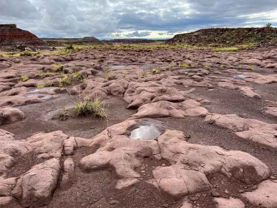 Marilyn Marron; Pools of life; Painted Desert; 2022