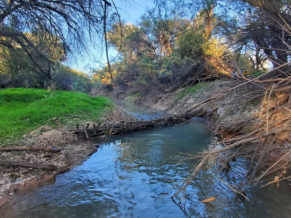 Matt Minjares; San Pedro Pal; San Pedro River, AZ; 2022