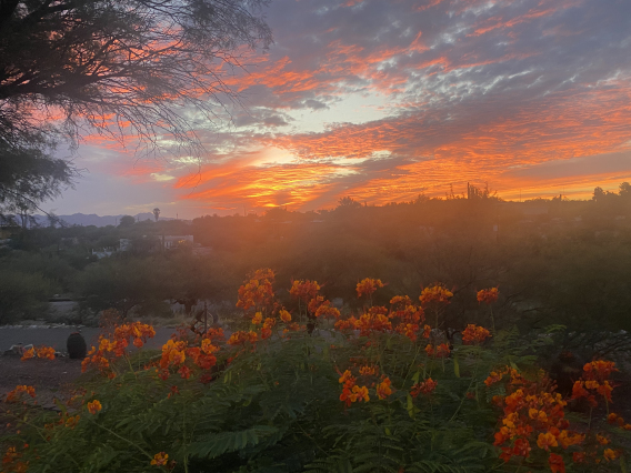 Stephen Poe; Doheny sunset; CA