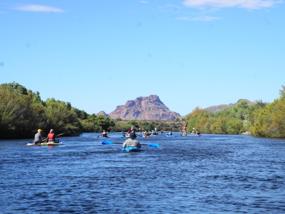 Jimmy Tonthat photo of people on paddle boards on the Salt River in Arizona