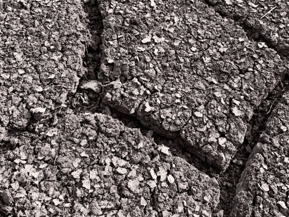 Holly Winters photo showing a dry lake bed