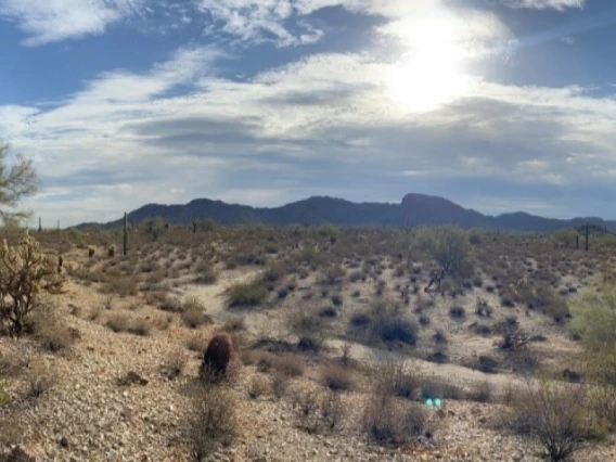 Hassayampa River Study photo