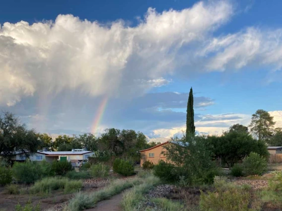 photo of tucson neighborhood