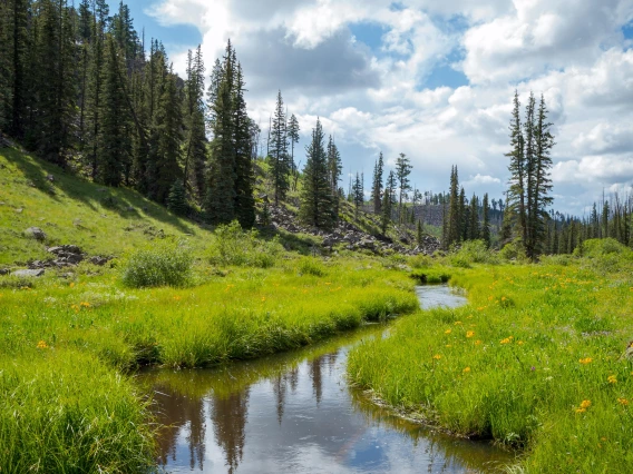 drozd-kristofer-02-black-river-reflection-2021-thompson-trail.jpg