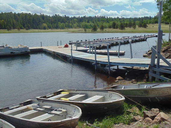 Amy Fee - Boats at Big Lake - White Mountain, AZ