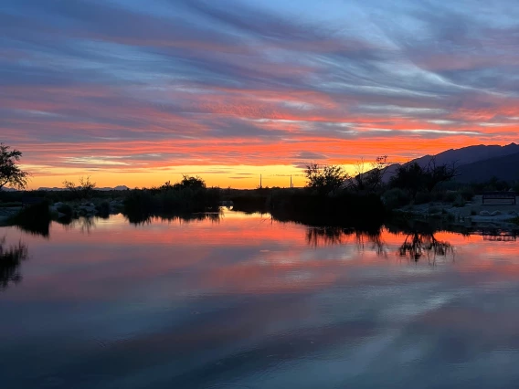 Sarah Lavelle - Agua Caliente, 2023