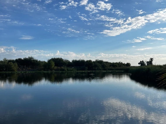 Wilzave Quilesguzman - Reflections in the Wetland, Phoenix, AZ, 2023