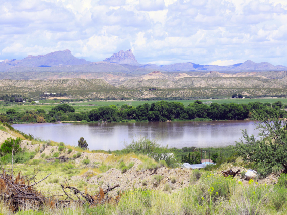 Becky Rapier - Farmers Field Covered in Water, Duncan, AZ, 2022