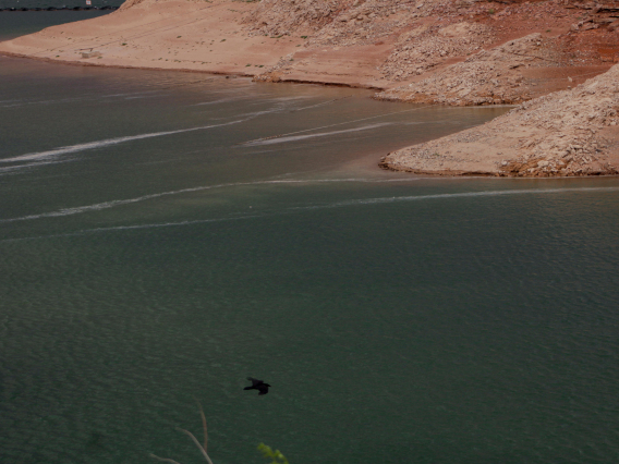 Brenda Sanchez - Flying Over Lake Powell, Page, AZ, 2019