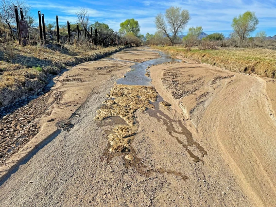 John Vanveld Huizen - Santa Cruz river, Amado, AZ, 2023