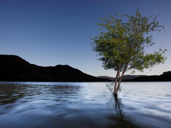 Dave Wilson - Apache Flood, Apache Lake, AZ, 2023