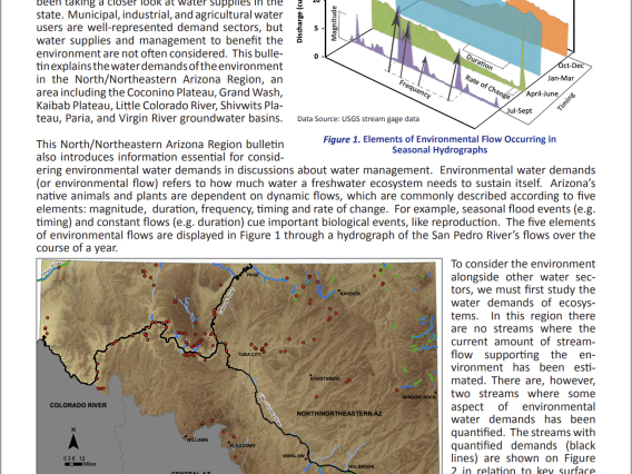 env flows N/NE title page 