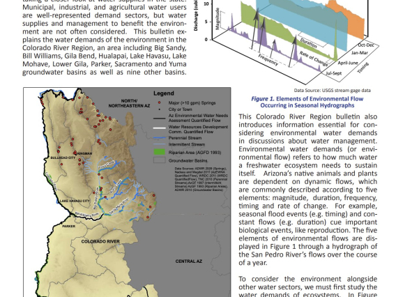 Publication Arizona Environmental Flows