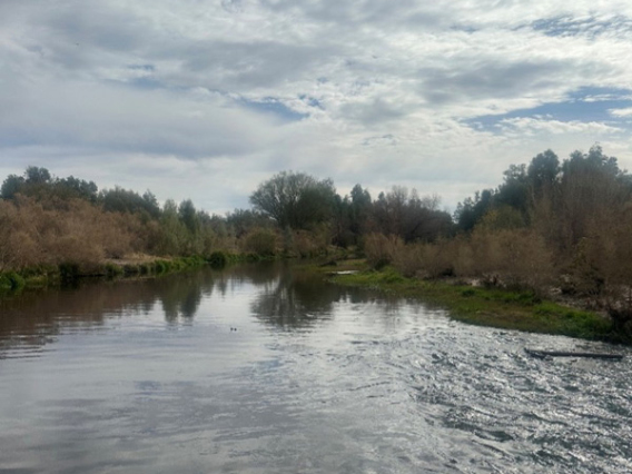 photo of a river with riparian area