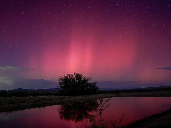 Wendy Islas - A Night To Remember, 2024 Las Cienegas National Conservation Area