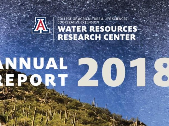 annual report banner with date and logo