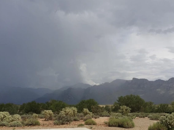 a photo of monsoon rain