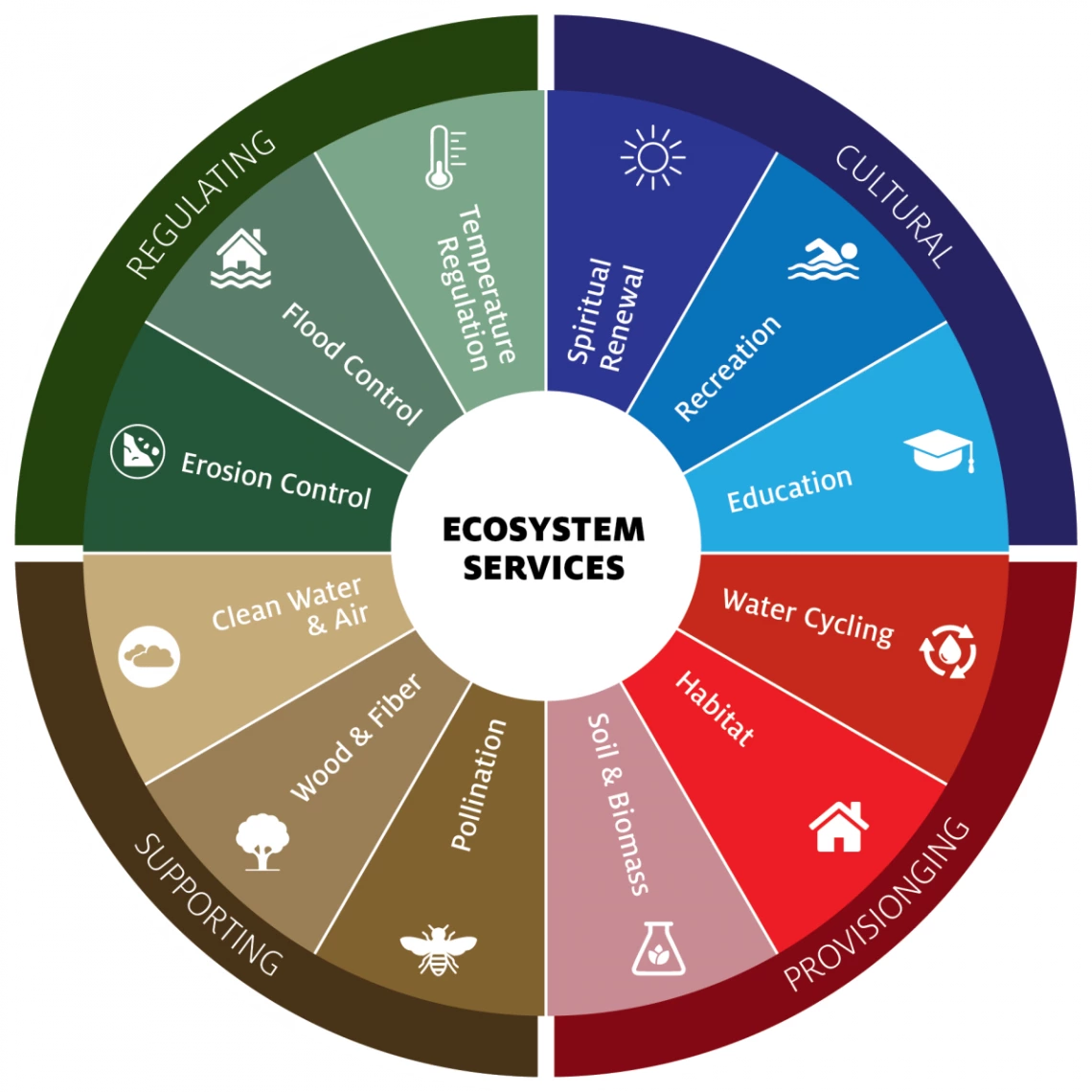 Illustration of the ecosystem services classification