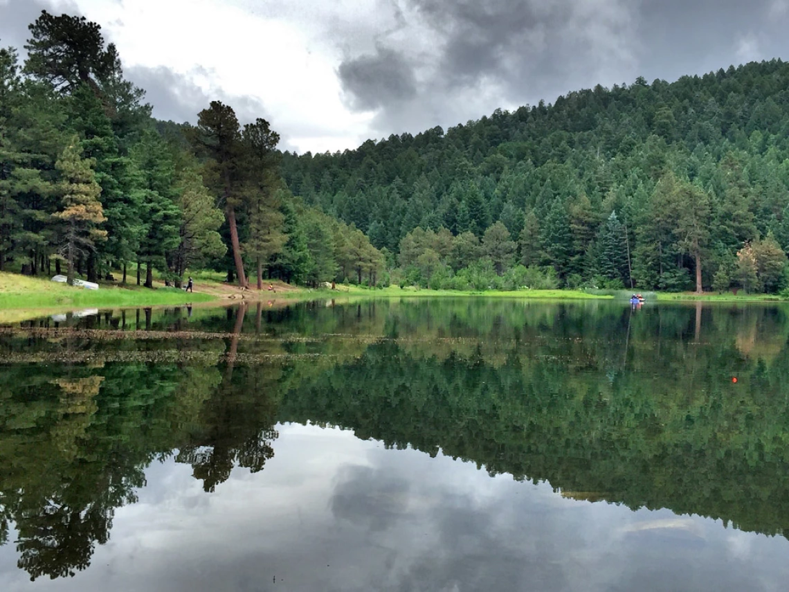 Heath Brown - Riggs Lake, Mt. Graham