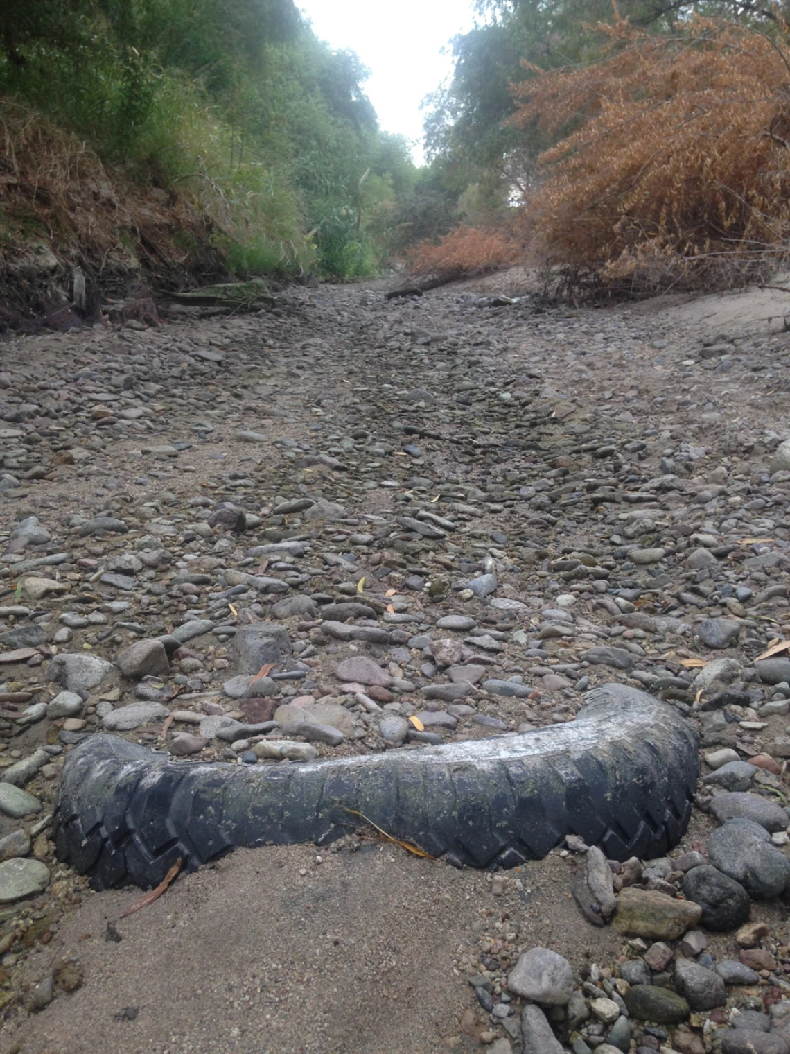 Louis Shanley - Rubber Meets the Road, Santa Cruz River at Silverbell District Park